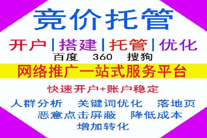 企业SEM服务实战案例解析